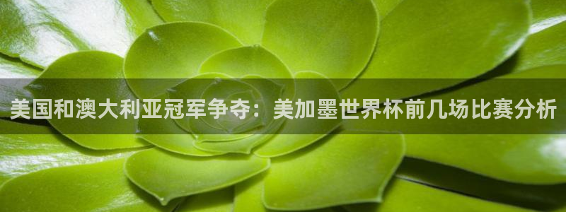 美国和澳大利亚冠军争夺：美加墨世界杯前几场比赛分析