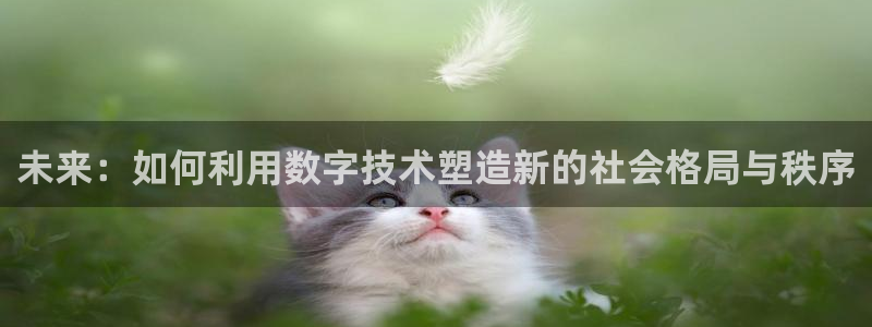 未来：如何利用数字技术塑造新的社会格局与秩序